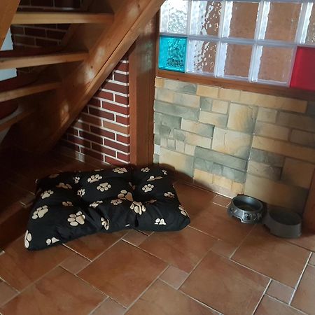 Fewo Am Saalerbodden Bartelshagen  Zewnętrze zdjęcie